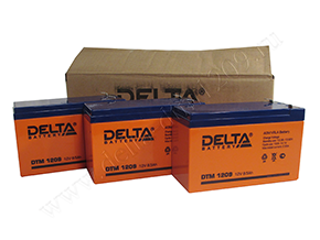 Открытая коробка и аккумуляторы Delta DTM 1209 рядом